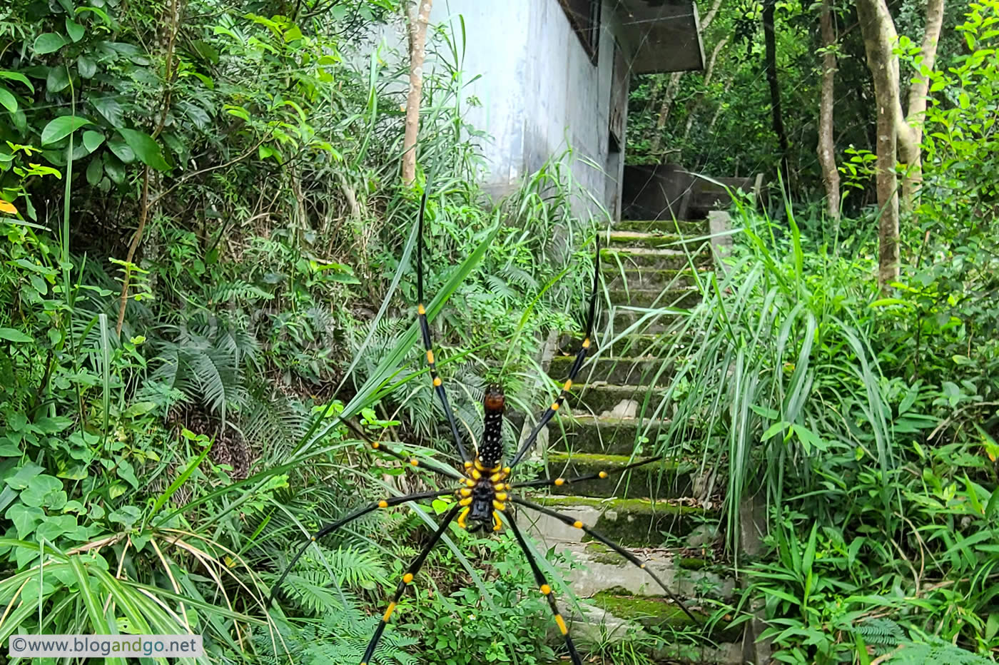 Mount Davis Battery - Route Stopper